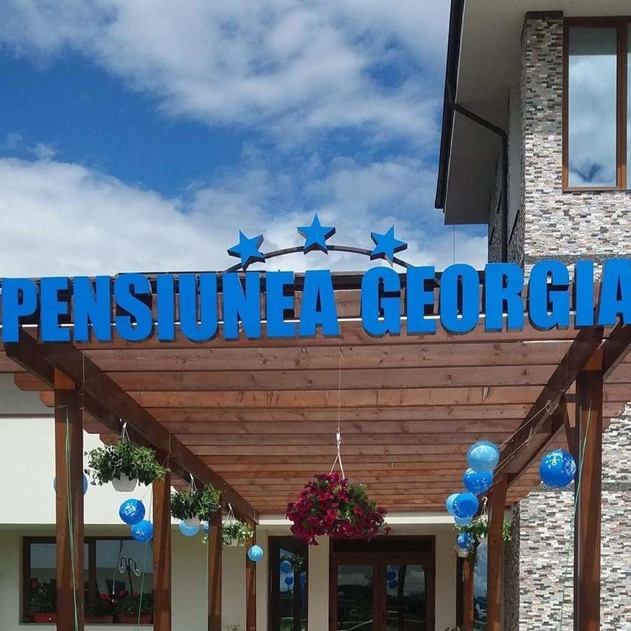 Pensiunea Georgia Lunguleţul 外观 照片